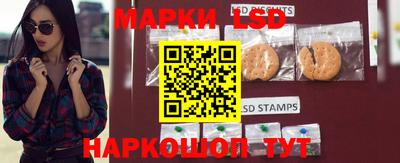 спиды Славгород