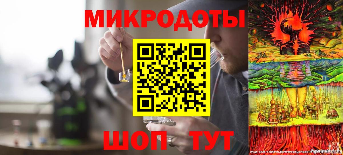 где можно купить наркотик  Псилоцибиновые грибы Psilocybe  Вход с VPN  Большой Камень 