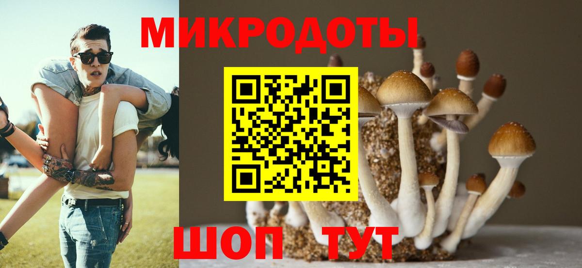 Галлюциногенные грибы MAGIC MUSHROOMS Большой Камень